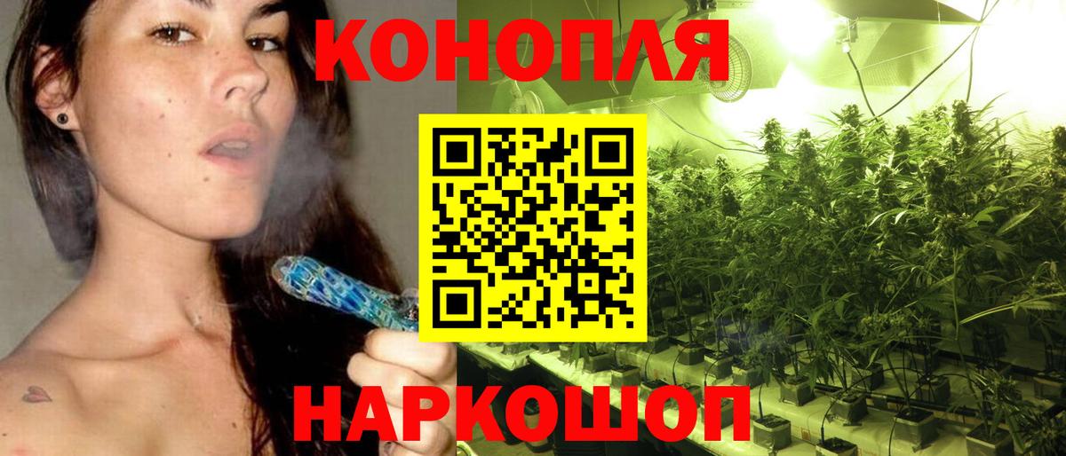 Канабис конопля  Марихуана сатива  Вход с VPN  МАРИХУАНА Ganja  Шишки марихуана OG Kush  Подольск 